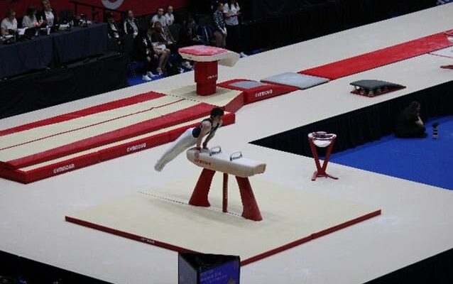 Wilsthorpe Sixth Former with his eye on gymnastic success
